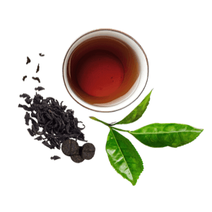 Pu-er