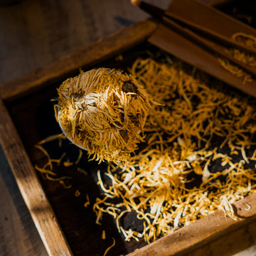 Yellow Chrysanthemum Tea